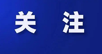 社会艺术培训机构监管亟待加强 